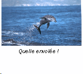 img5.gif